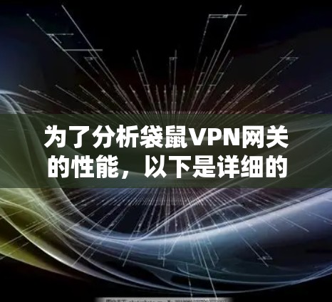 为了分析袋鼠VPN网关的性能，以下是详细的步骤和方法