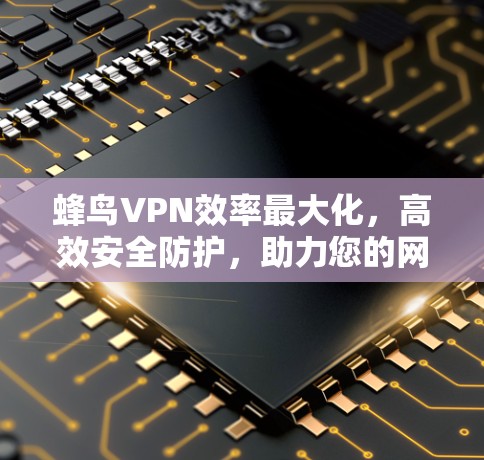 蜂鸟VPN效率最大化，高效安全防护，助力您的网络世界