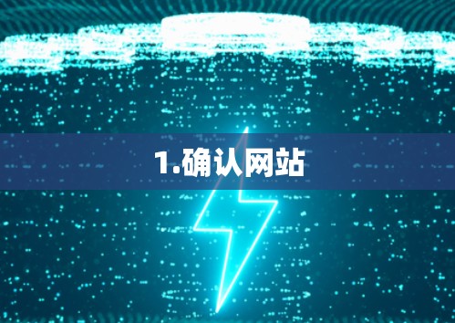 1.确认网站