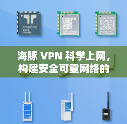 海豚 VPN 科学上网，构建安全可靠网络的未来解决方案