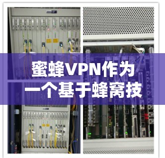 蜜蜂VPN作为一个基于蜂窝技术的网络服务，其测速数据通常包含多个方面，包括数据流量、延迟、增长率等信息。以下是一些可能的测速数据和分析