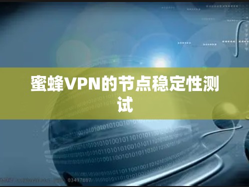 蜜蜂VPN的节点稳定性测试