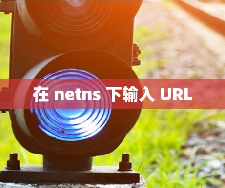 在 netns 下输入 URL