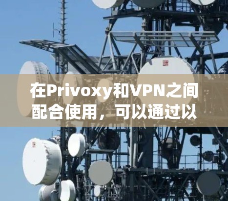 在Privoxy和VPN之间配合使用，可以通过以下步骤高效地实现