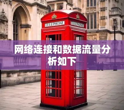网络连接和数据流量分析如下