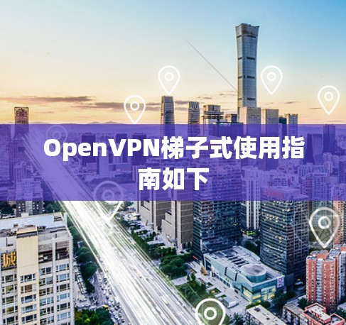 OpenVPN梯子式使用指南如下