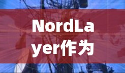 NordLayer作为全球流量测试节点，主要用于检测网络流量，支持多种流量类型和测试场景。以下是关于NordLayer全球线路测试的详细解释