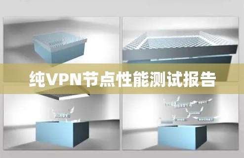 纯VPN节点性能测试报告 纯VPN节点性能测试报告