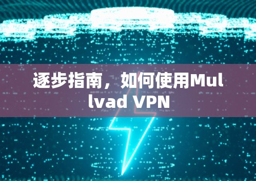 逐步指南,如何使用Mullvad VPN 逐步指南,如何使用Mullvad VPN