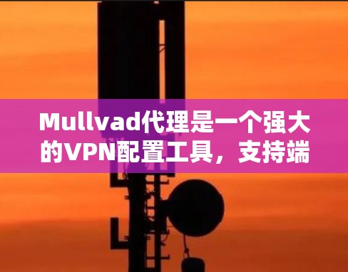 Mullvad代理是一个强大的VPN配置工具，支持端到端和端到端+端到端协议，适合个人用户和企业用户。以下是一个详细的配置说明，帮助您顺利配置Mullvad代理