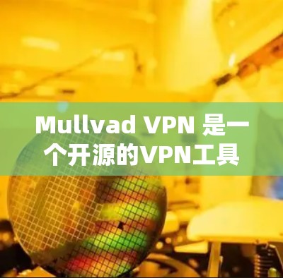 Mullvad VPN 是一个开源的VPN工具，旨在提供高效、安全和稳定的网络连接体验。以下是对其稳定连接体验的评测