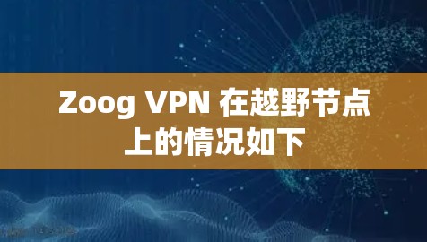 Zoog VPN 在越野节点上的情况如下