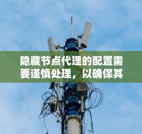 隐藏节点代理的配置需要谨慎处理,以确保其安全性和正确性。以下是一步步的指南 隐藏节点代理的配置需要谨慎处理,以确保其安全性和正确性。以下是一步步的指南