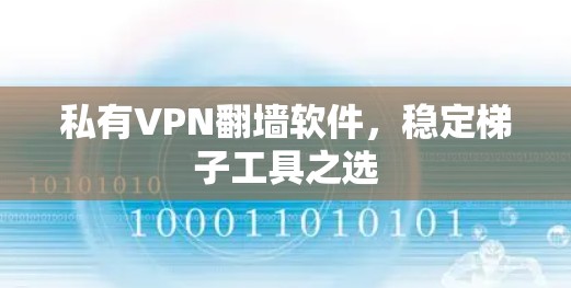 私有VPN翻墙软件，稳定梯子工具之选