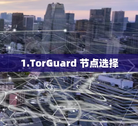 1.TorGuard 节点选择