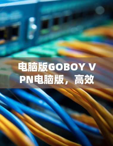 电脑版GOBOY VPN电脑版，高效、安全、多功能VPN工具