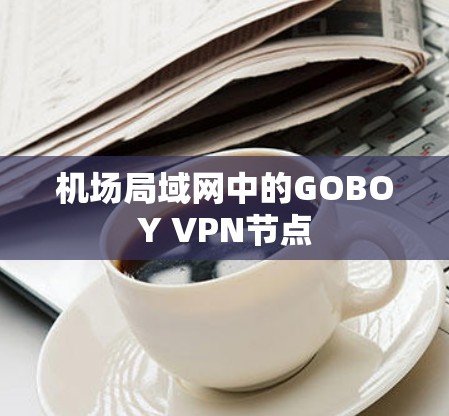 机场局域网中的GOBOY VPN节点