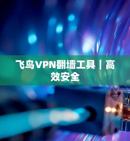 飞鸟VPN翻墙工具｜高效安全