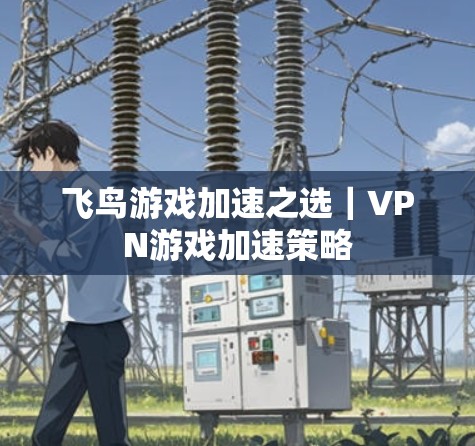 飞鸟游戏加速之选｜VPN游戏加速策略