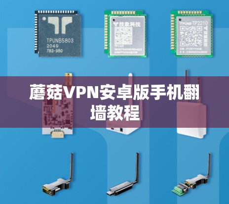 蘑菇VPN安卓版手机翻墙教程