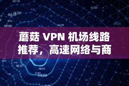蘑菇 VPN 机场线路推荐，高速网络与商务需求完美结合