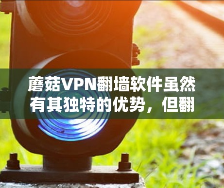 蘑菇VPN翻墙软件虽然有其独特的优势，但翻墙功能可能限制了用户使用，影响了隐私和安全。以下是对蘑菇VPN翻墙软件的分析和建议