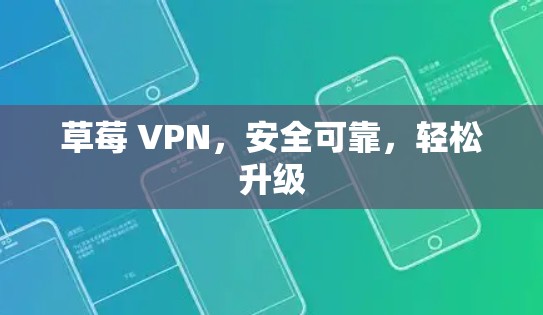 草莓 VPN，安全可靠，轻松升级