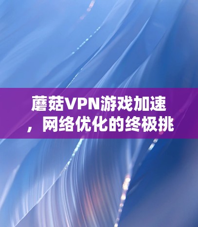 蘑菇VPN游戏加速，网络优化的终极挑战