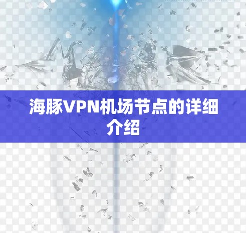 海豚VPN机场节点的详细介绍