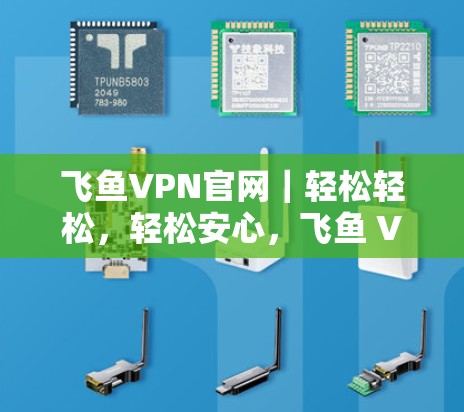 飞鱼VPN官网｜轻松轻松，轻松安心，飞鱼 VPN 官网详细介绍