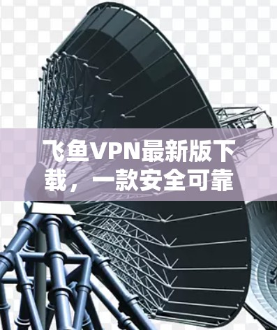 飞鱼VPN最新版下载，一款安全可靠的远程办公 VPN 全程无忧