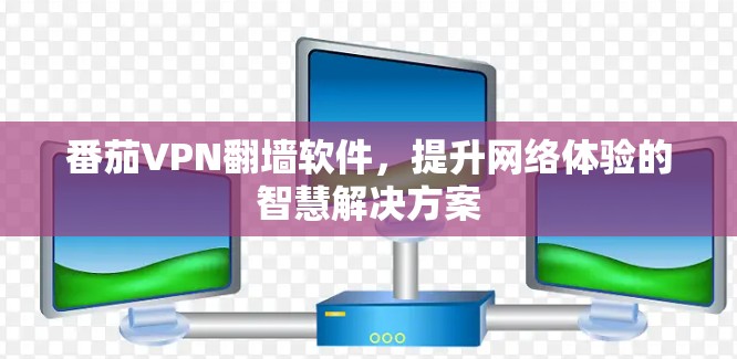 番茄VPN翻墙软件，提升网络体验的智慧解决方案