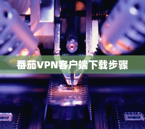 番茄VPN客户端下载步骤