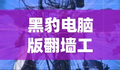 黑豹电脑版翻墙工具，身份保护与数据安全的完美融合