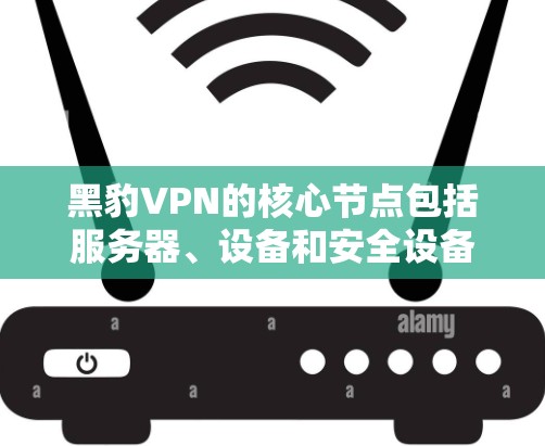 黑豹VPN的核心节点包括服务器、设备和安全设备，这些节点的配置和选择对于VPN的高效和安全运行至关重要。以下是黑豹VPN的关键节点及其主要配置，供您参考