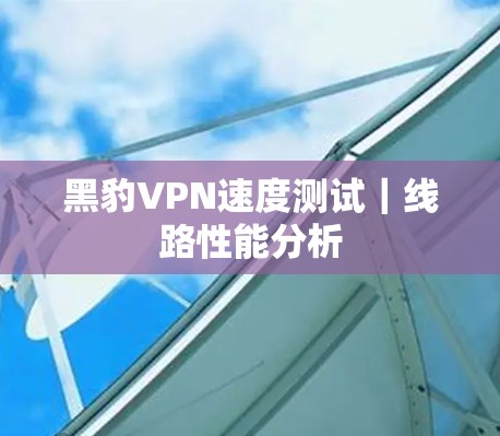 黑豹VPN速度测试|线路性能分析 黑豹VPN速度测试|线路性能分析