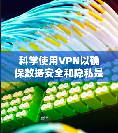 科学使用VPN以确保数据安全和隐私是关键。以下是一个结构化的指南，帮助您有效地使用VPN并保护您的网络环境
