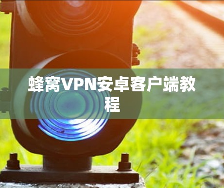 蜂窝VPN安卓客户端教程 蜂窝VPN安卓客户端教程
