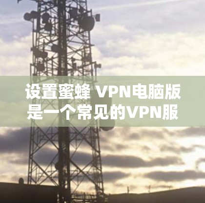 设置蜜蜂 VPN电脑版是一个常见的VPN服务，以下是一些详细且分步的指南，帮助您顺利完成设置