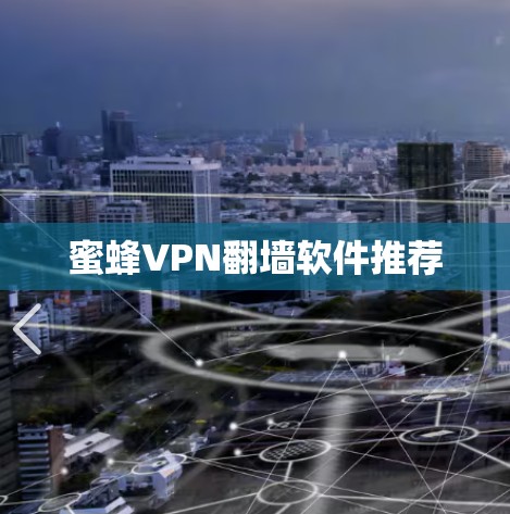 蜜蜂VPN翻墙软件推荐