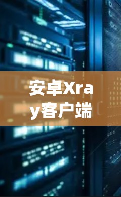 安卓Xray客户端科学设置解析