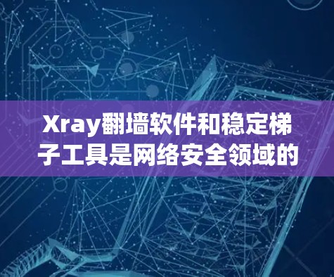 Xray翻墙软件和稳定梯子工具是网络安全领域的重要工具，各自有不同的应用场景和功能。以下是对这两个工具的详细说明