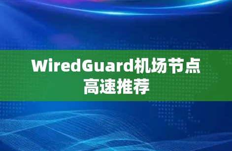 WiredGuard机场节点高速推荐