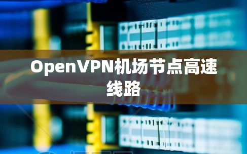 OpenVPN机场节点高速线路