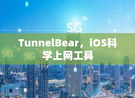 TunnelBear，iOS科学上网工具