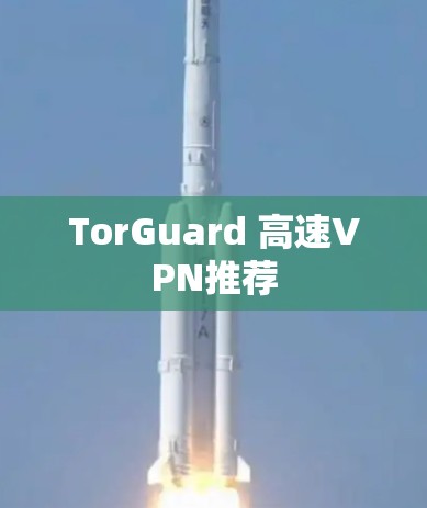 TorGuard 高速VPN推荐 TorGuard 高速VPN推荐