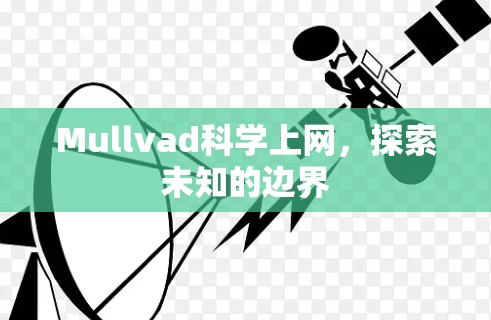 Mullvad科学上网，探索未知的边界