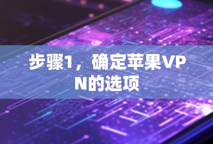 步骤1，确定苹果VPN的选项