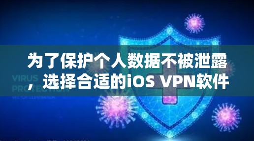 为了保护个人数据不被泄露，选择合适的iOS VPN软件并采取相应的安全措施至关重要。以下是一个综合性的指南，帮助你更好地选择和使用iOS VPN软件