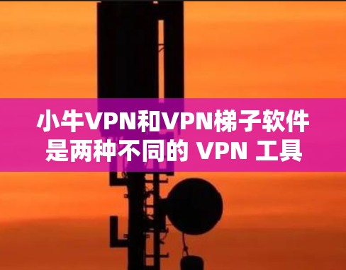 小牛VPN和VPN梯子软件是两种不同的 VPN 工具，主要区别在于功能和适用场景。以下是对这两种工具的简单介绍和建议